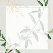 Download Premium Illustration Of Rectangle Gold Frame With Olive Branch Flower Background Wallpaper Olive Branch Pattern Illustration