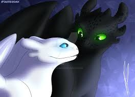 Toothless The Night Fury And Light Fury How Train Your Dragon How To Train Your Dragon Night Fury