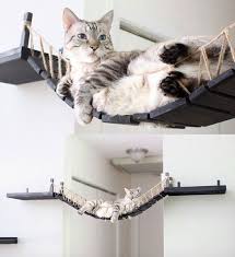 Grossartig Diese Brucken Sehen Ja Sehr Gemutlich Aus Mehr Sehen Https Amzn To 2nasv Geschenke Fur Reiter Gluckwunsche Hochzeit Witzige Geschenke