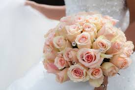 We did not find results for: Free Photo Close Up Of Pink Rose Bouquet Beautiful Flowers Wedding Free Download Jooinn