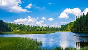 Maybe you would like to learn more about one of these? How To Get The Best Dynamic Wallpaper For Windows 10