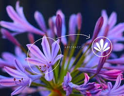 PROPUESTAS LOGO NUEVA MUJER-abstraccion |