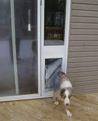 Our in glass pet doors will replace your current glass with a modular glass system with a pet door built in. Insulated Pet Door For Sliding Glass Door Www Macj Com Br