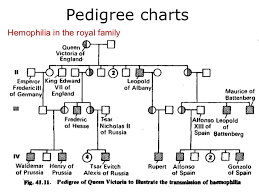 03 pedigree charts