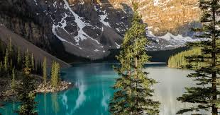 Image result for Alberta