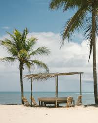 Almar nasce, trazendo consigo a ideia de tornar Trancoso um destino ainda  mais sustentável e conectado com a natureza. Com uma culinária  diferenciada, destacando os peixes frescos, pescados aqui na nossa praia