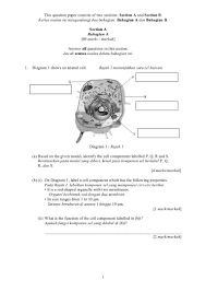 Soalan Akhir Tahun Biologi Tingkatan 4 Oxsterd