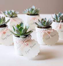 Top Five Wedding Favor Ideas Diy Wedding Favors Wedding Gift Favors Succulent Wedding Favors