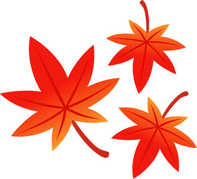 フリー素材 | 赤く紅葉したもみじの葉を描いたイラスト。秋のデザインに。