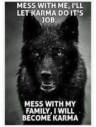 300 Motivational And Inspirational Quotes 188 Warrior Quotes Wolf Quotes Wisdom Quotes