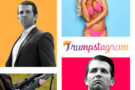 Our chief national correspondent tom llamas is here with more. My Donald Trump Jr Shadow Instagram Feed What I Learned From Mimicking His Likes And Follows
