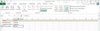In the 'insert picture' dialog box, locate the pictures that you want to insert into a cell in excel. How To Work With Multiple Users On An Excel Worksheet