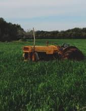 Wiley Hatten Obituary June 17, 2022