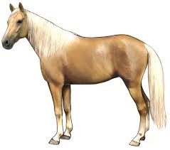 images?q=tbn:ANd9GcTshgT4LZUS2_AFKeEQf9ohStXr_H5MA-j5Kg&s