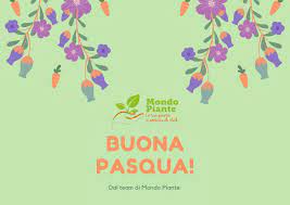 Mondo convenienza utilizza i cookies per offrire agli utenti la migliore esperienza di navigazione possibile. Mondo Piante Posts Facebook
