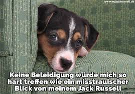 Jack Russell Zitate Und Spruche Jackrussell De