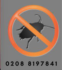 Pest management services in richmond. Richmond Pest Control