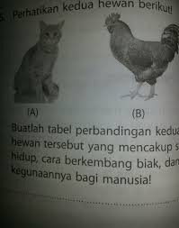Hewan dengan metamorfosis sempurna mengalami empat kali fase perubahan bentuk sampai dewasa. 1 Berikut Pernyataan Yang Bukan Mengenai Metamorfosis Sempurna Adalah A Mengalami Fase Pupab Brainly Co Id