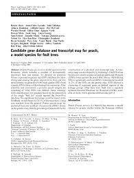 #cosplay model thanks for your support.alina becker ретвитнул(а). Pdf Candidate Gene Database And Transcript Map For Peach A Model Species For Fruit Trees