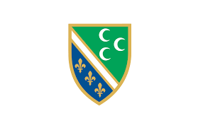 Free for commercial use no attribution required high quality images. Datei Bosniak National Flag In Sandzak Svg Wikipedia