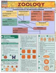 zoology quick study chart