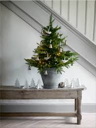 Ответ дан • проверенный экспертом. Die 15 Schonsten Weihnachtsbaume Sweet Home