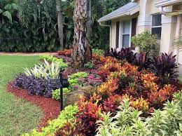 Colorful Foliage Ideas Foliage Plants List Colorful Foliage Garden Frontyards P Florida Landscaping Front Yard Landscaping Design Garden Landscape Design