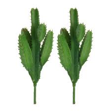 These myths are carried by many people around the. Amazon Com Bluecell 2pcs Real Looking Artificial Cactus Plant Diy Material For Home Decoration Flower Arrangement Home Kitchen