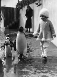 Penguin And Friend Photographic Print Art Com Penguins Animals London Zoo
