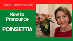 Pin On English Pronunciation