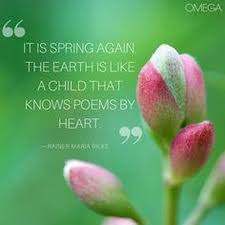 Bud Quotes Flower Google Search Spring Quotes Hello Spring Quotes Flower Quotes