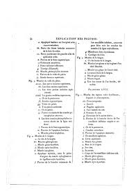 Ils sont au nombre de quatre : Page Encyclopedie Methodique Systeme Anatomique Planches Djvu 49 Wikisource