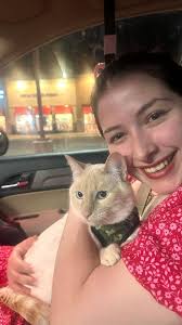 My friend Amy lost her pet in the hialeah 33010 area . His name is Mikie .  If anyone sees him , if they can please contact the number in the picture .  Thanks