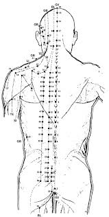 Neuroscience Of Acupuncture Unusual Acupuncture Diagrams Chart