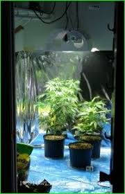 Check spelling or type a new query. Grow Lyfe