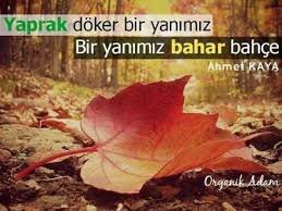Ahmet Kaya Sozleri Ahmet Kaya Wattpad
