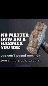 Pin By Markus On Memes Stupid People Silver Elephants