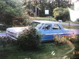 Image result for Adobe Beige 1962 Nova