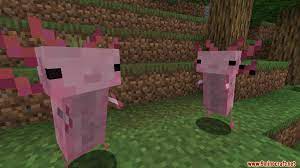 Make sure to grant permission to the mod installer app in order to install. Axolotls Mod 1 15 2 Criaturas Unicas Y Adorables Minecraft