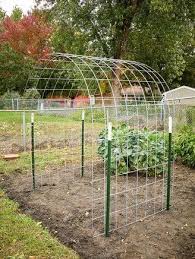 Pin By Maxine Glazer On Basejn Bean Trellis Vegetable Garden Design Garden Trellis