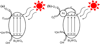 Ofcourse i am not liable for any error but if there is any error / change in practice, please comment below, or you can email me. Enhanced Visible Light Driven Pd Bi 2 Wo 6 Heterojunctions Used For Photodegradation Of Rhodamine B Springerlink