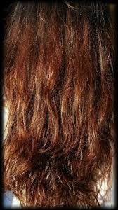 The first thing you need to do is buy an ash blonde hair dye. Brown Orange To Ash Blonde Beautylish