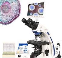 Amazon.com: HSL Microscopio compuesto trinocular para ...