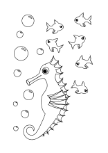 Ausmalbilder Fische Krebse Seepferdchen Kraken Quallen Muscheln Ausmalbilder Fische Seepferdchen Kraken