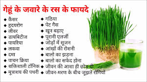 Wheatgrass juice is extremely healthy and gives your body everything it needs. Wheatgrass Juice Benefits In Tamil Health Benefits