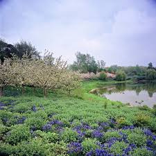 James Van Sweden Chicago Botanic Garden Jardins Du Monde Jardins Paysage