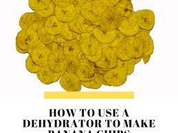 Maybe you would like to learn more about one of these? Tips For Using A Dehydrator Banana Chip Recipe Delishably