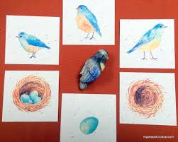 Match The Birds With Their Nests Life Cycle Of A Bird Montessori 3 Part Matching Cards Etsy Matching Cards Organic Canvas Picture Cards