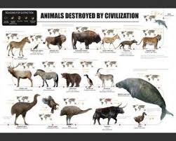 Extinct Animals Images Prehistoric Fauna Reconstructions Animals Images Extinct Animals Animals