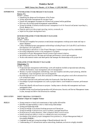 The one you need is called from excel. Infrastructure Project Manager Resume Samples Velvet Jobs